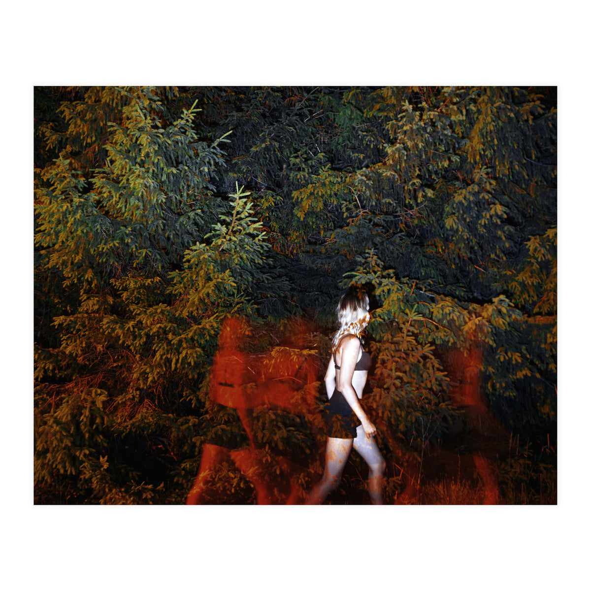 Red Shadows (Print Only)