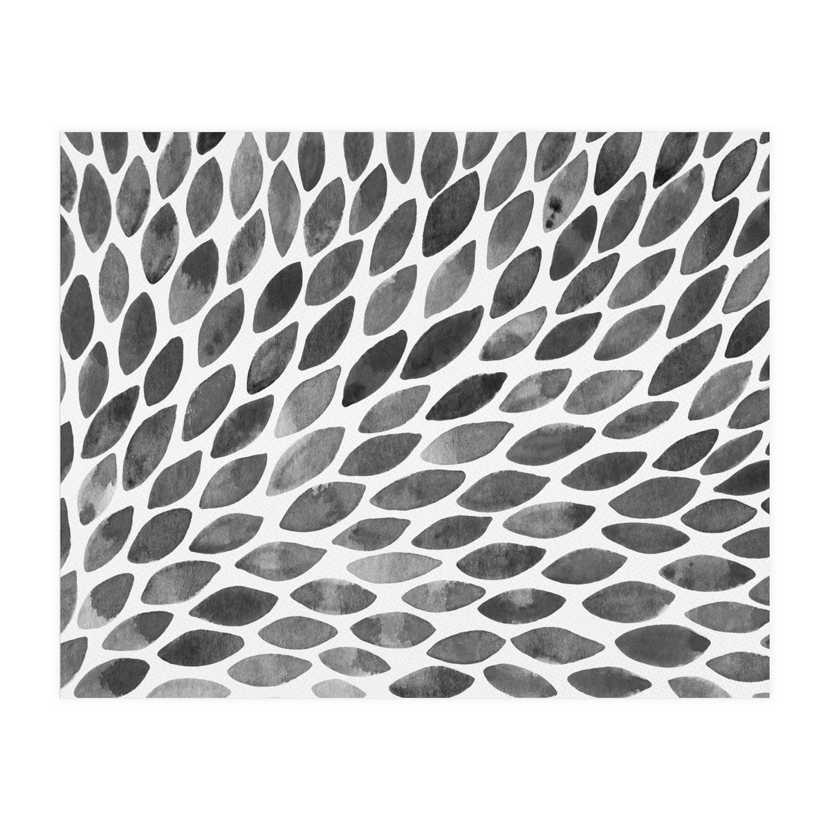 Black and white petal burst (Print Only)