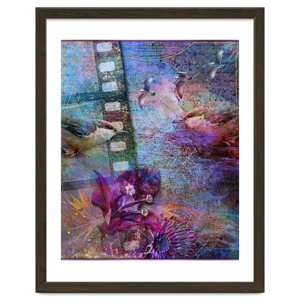 Watching the Wild World