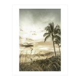 BONITA BEACH Bright Sunset | Vintage (Print Only) thumbnail