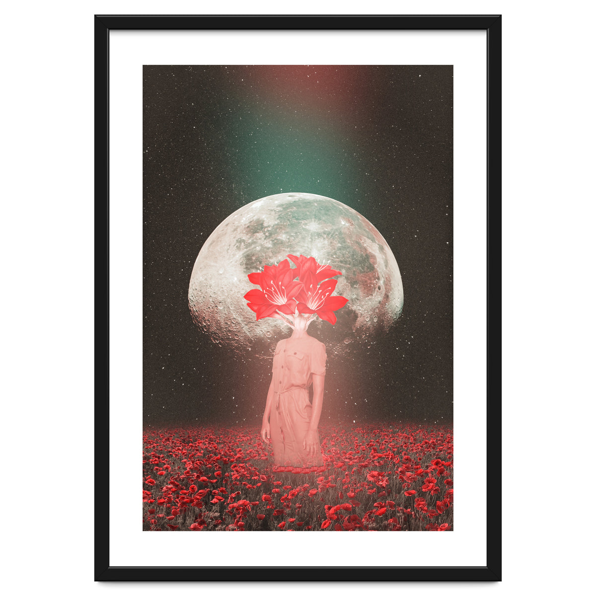 Flowers Bloom in Space