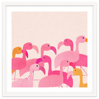 Florida Flamingos