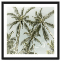 Lovely Palm Trees | Vintage