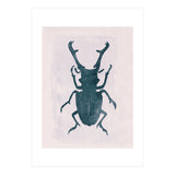 Beetle 3 (Print Only) thumbnail