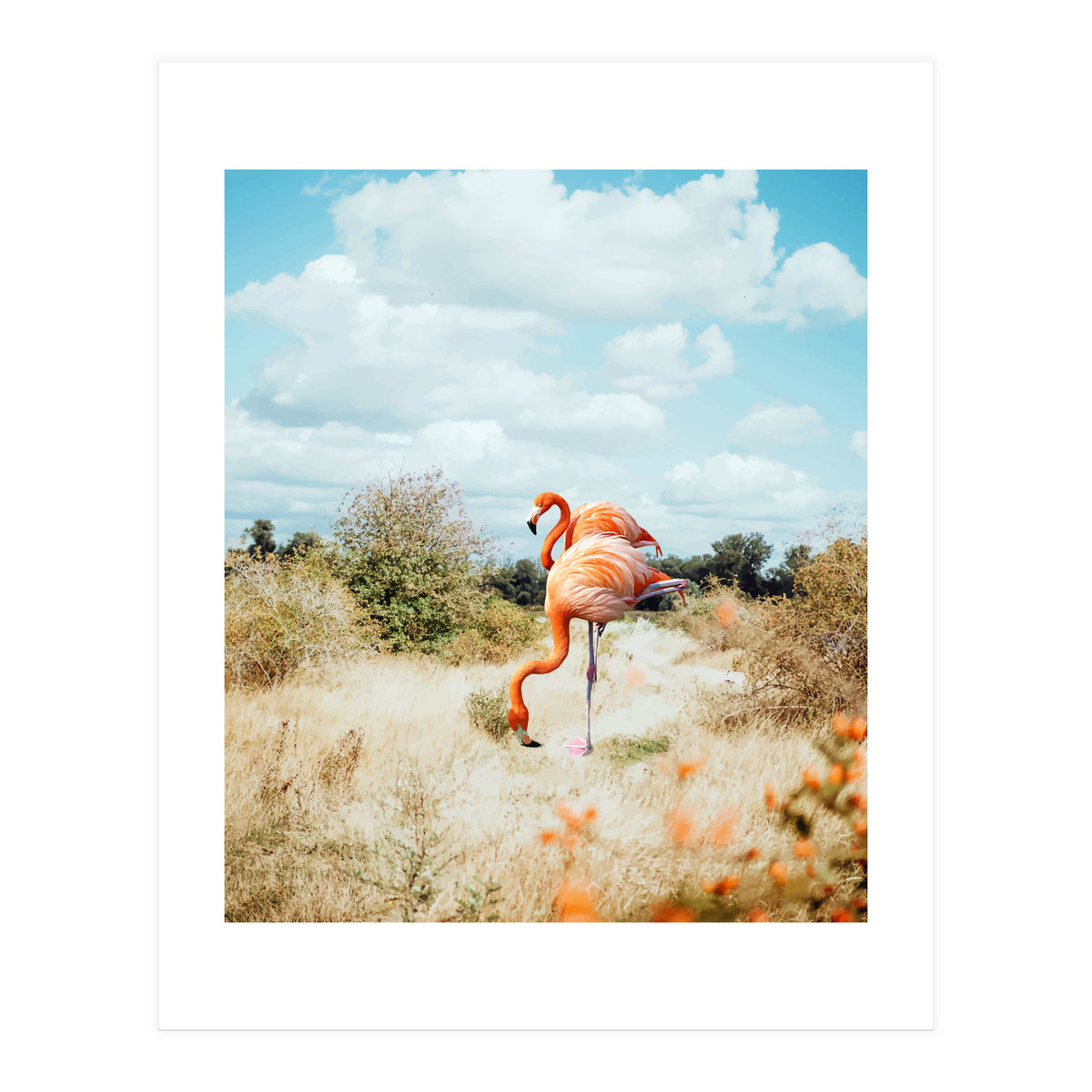 Flamingo Couple (Print Only)