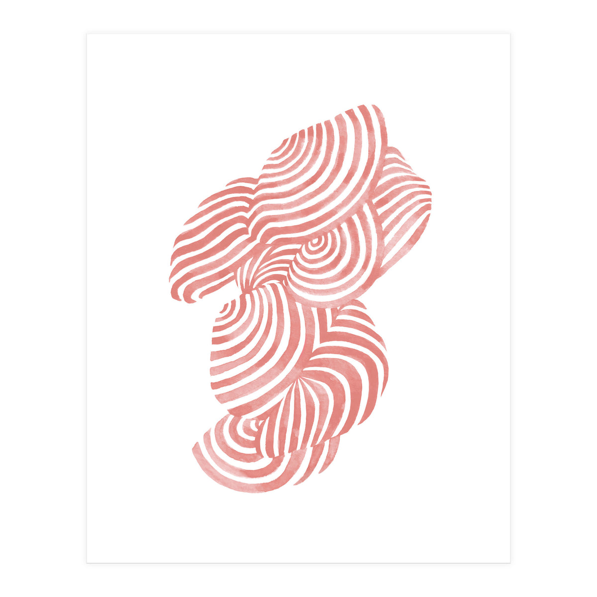 Seashells (Print Only)