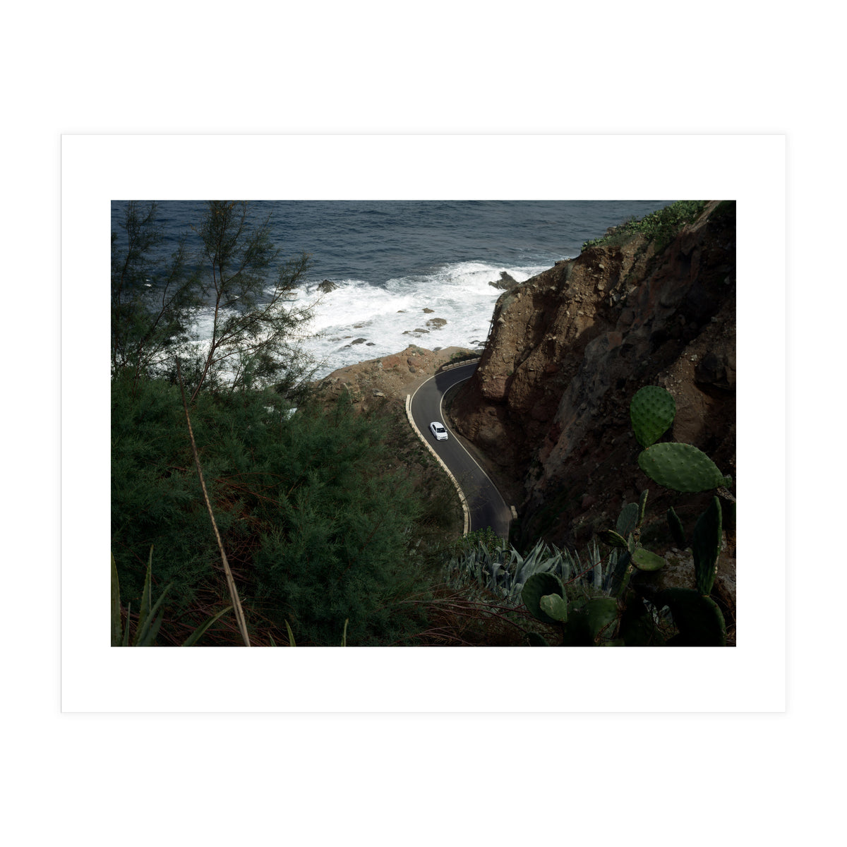 Diary of a Stalker (Print Only)