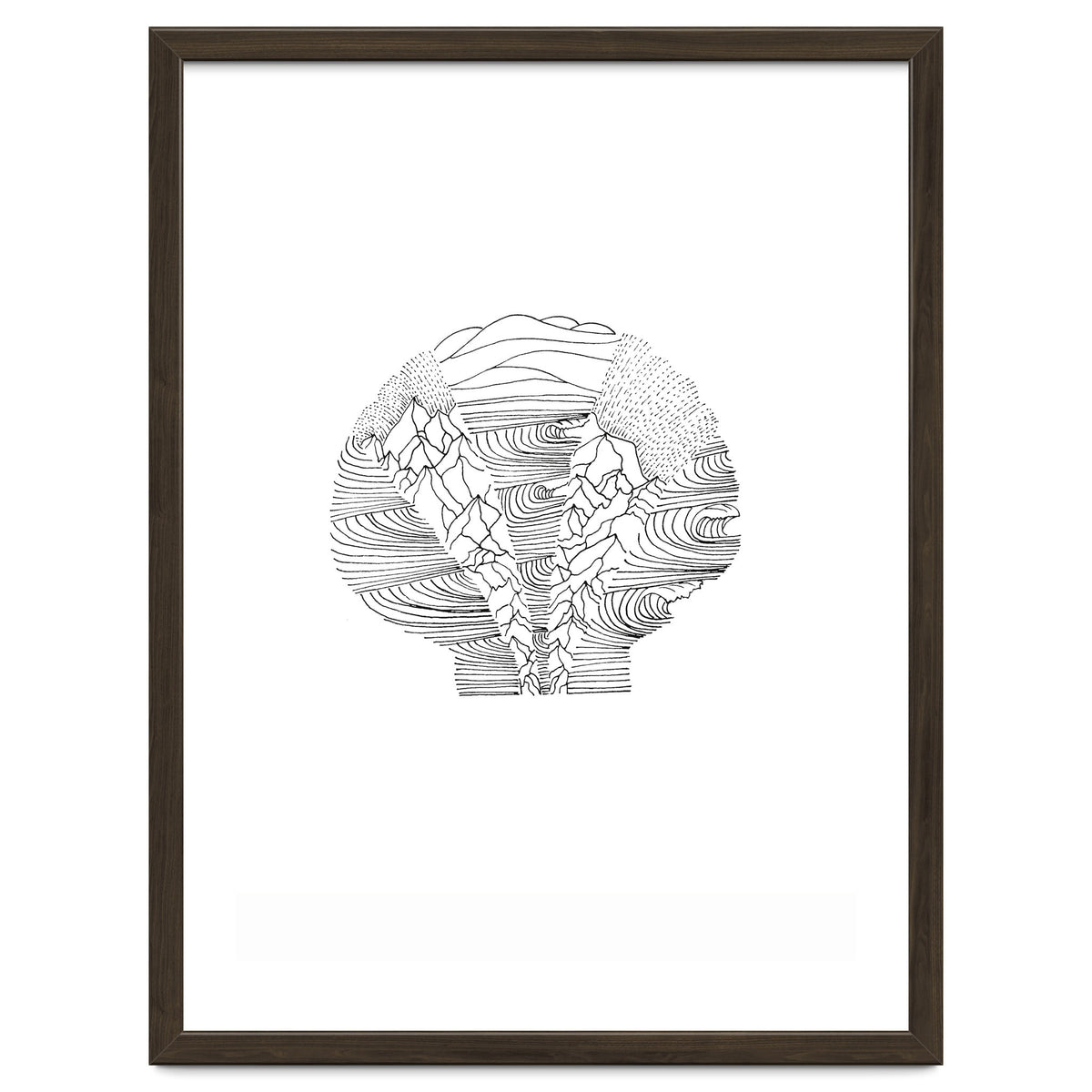 Salt&surf Scallop Waves