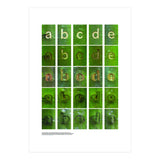 abcde (Print Only) thumbnail