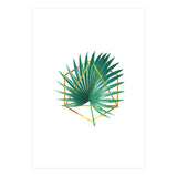 Tropical Palm Leaf 01 (Print Only) thumbnail