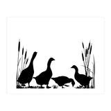 Goose talk (Print Only) thumbnail