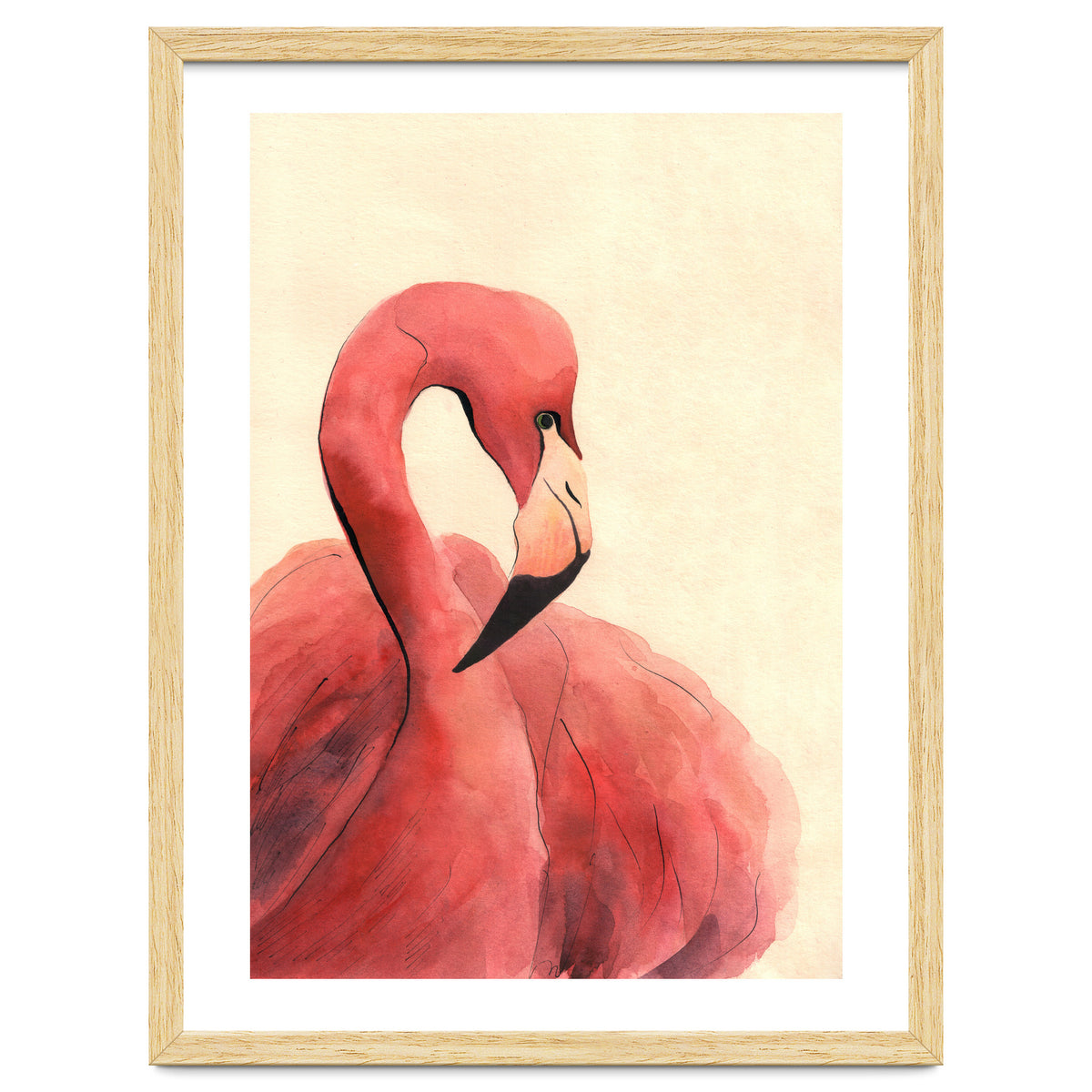 Flamingo