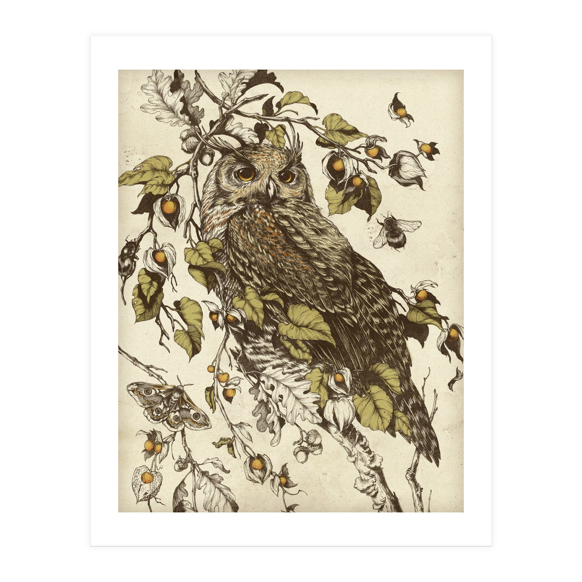 Great Horned Owl (Print Only)