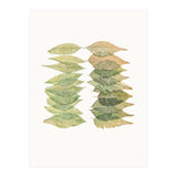 Cc Leaves 01 (Print Only) thumbnail