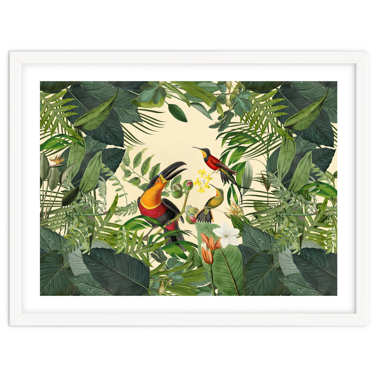 Green Jungle Toucans 2