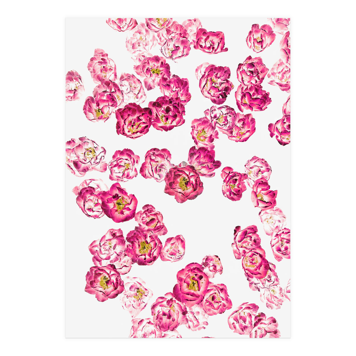 Pink Heaven (Print Only)