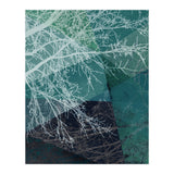 P19 E1 Trees And Triangles (Print Only) thumbnail