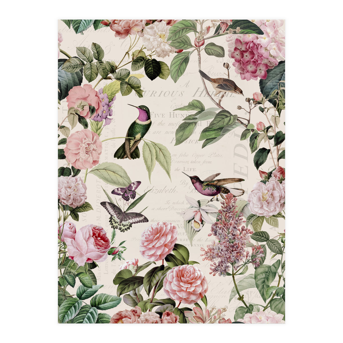 Hummingbirds And Roses (Print Only)