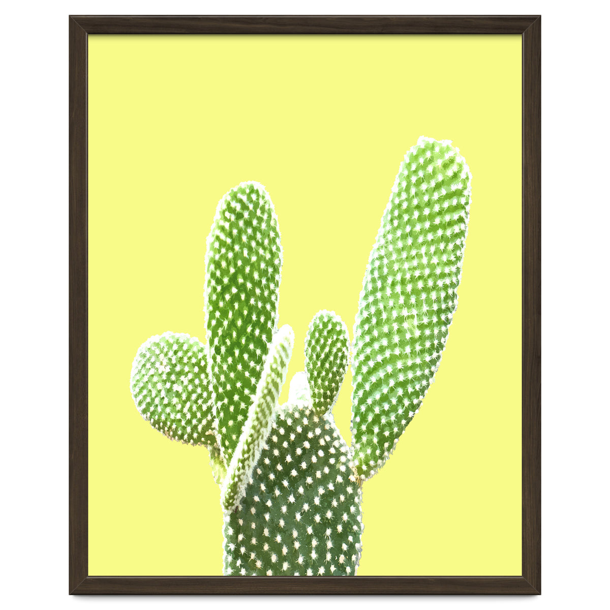 Cactus Yellow Background