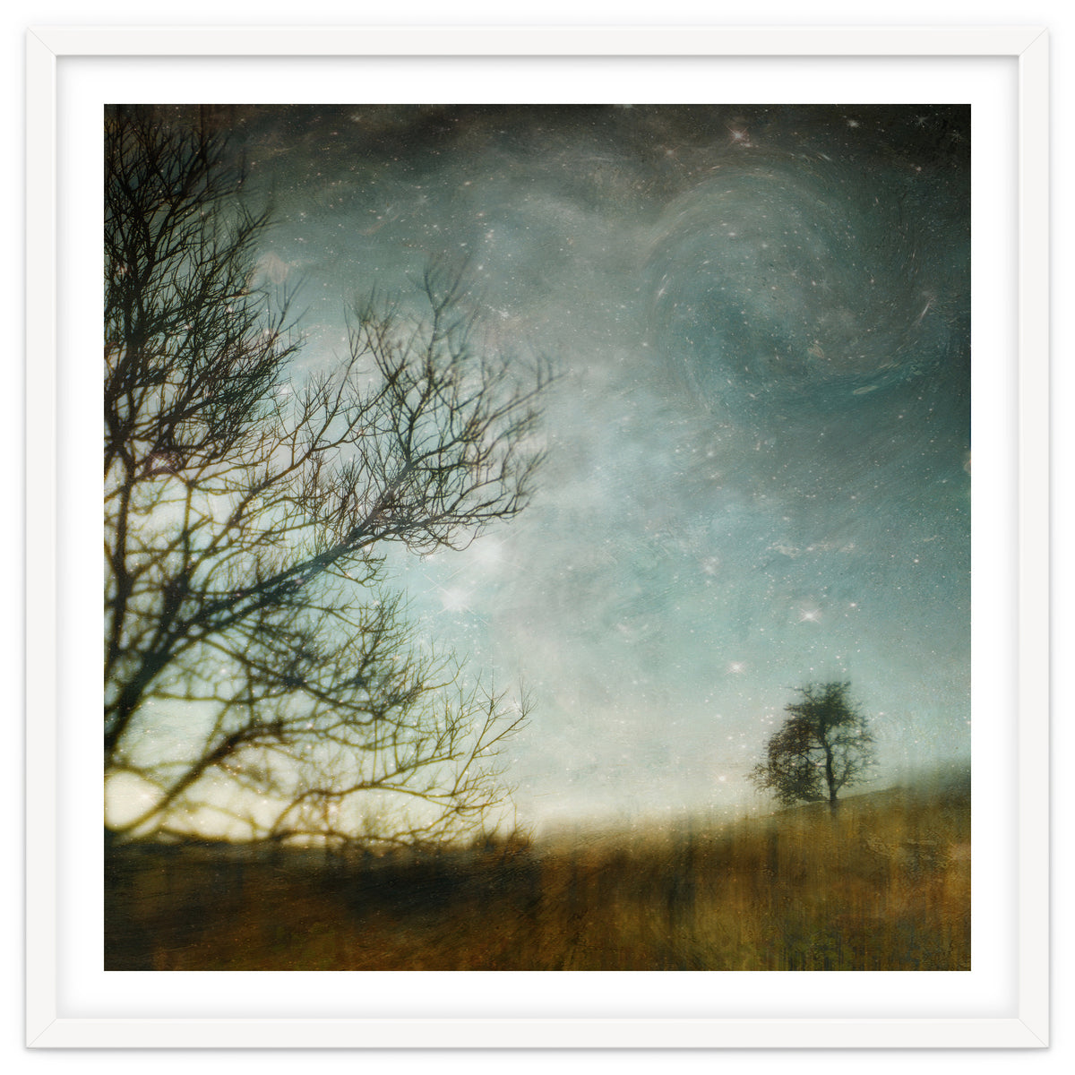 The Tree That Whispered