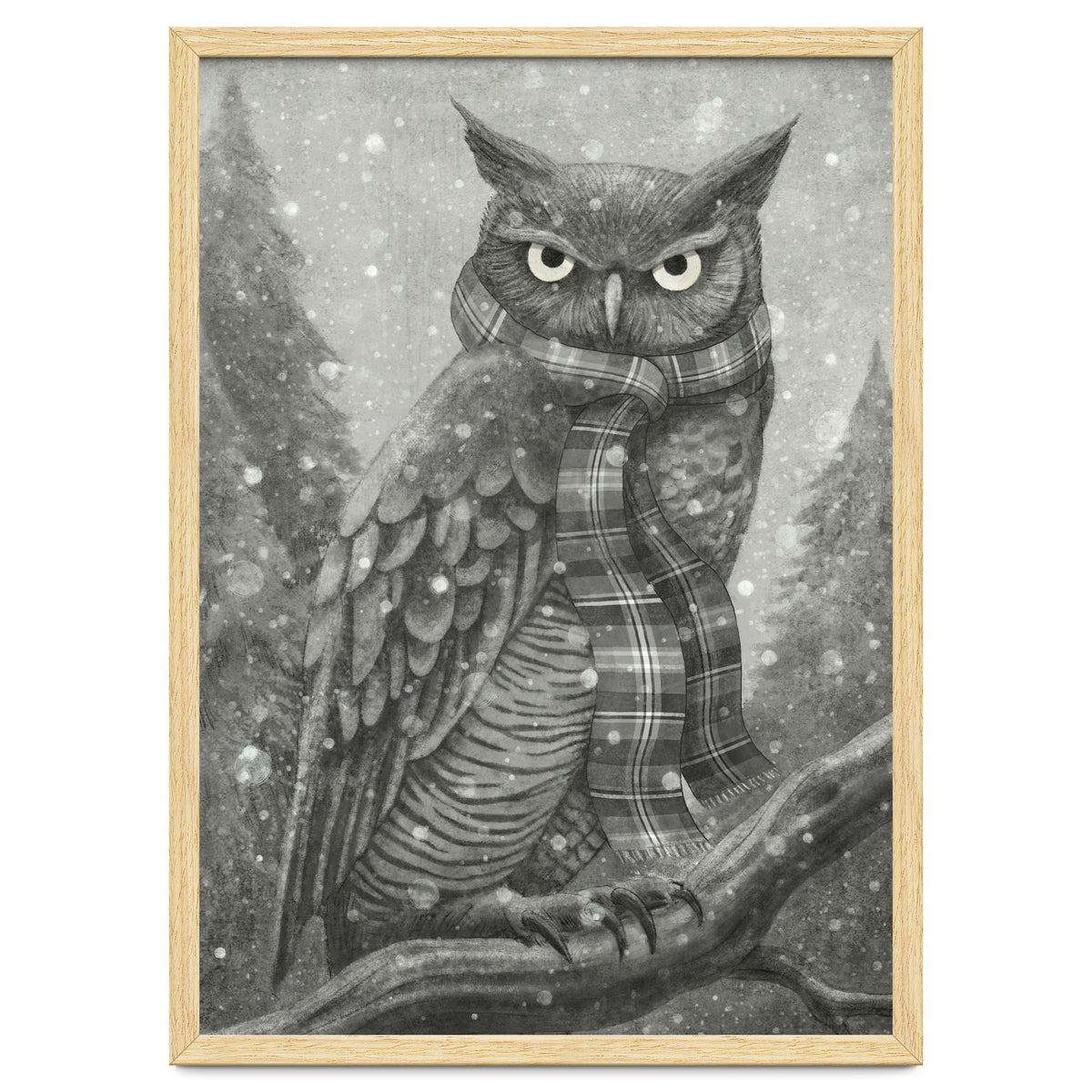 Winter Owl