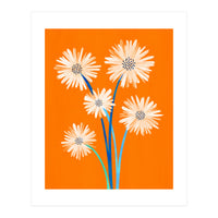 Moroccan Daisies (Print Only)