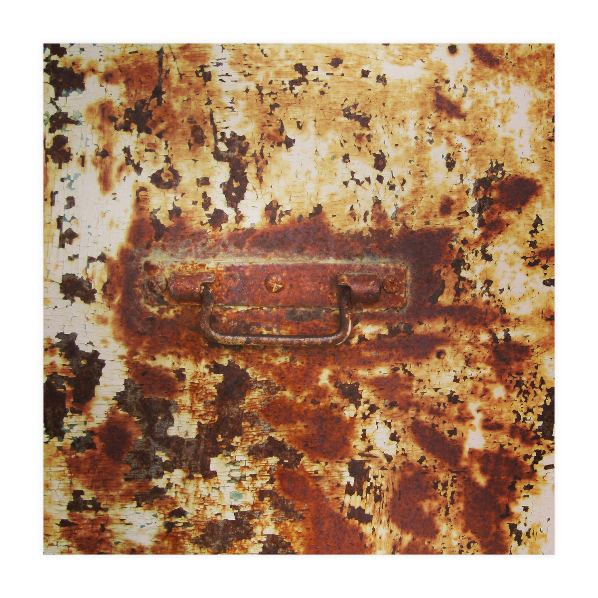 Rusty metal door (Print Only)