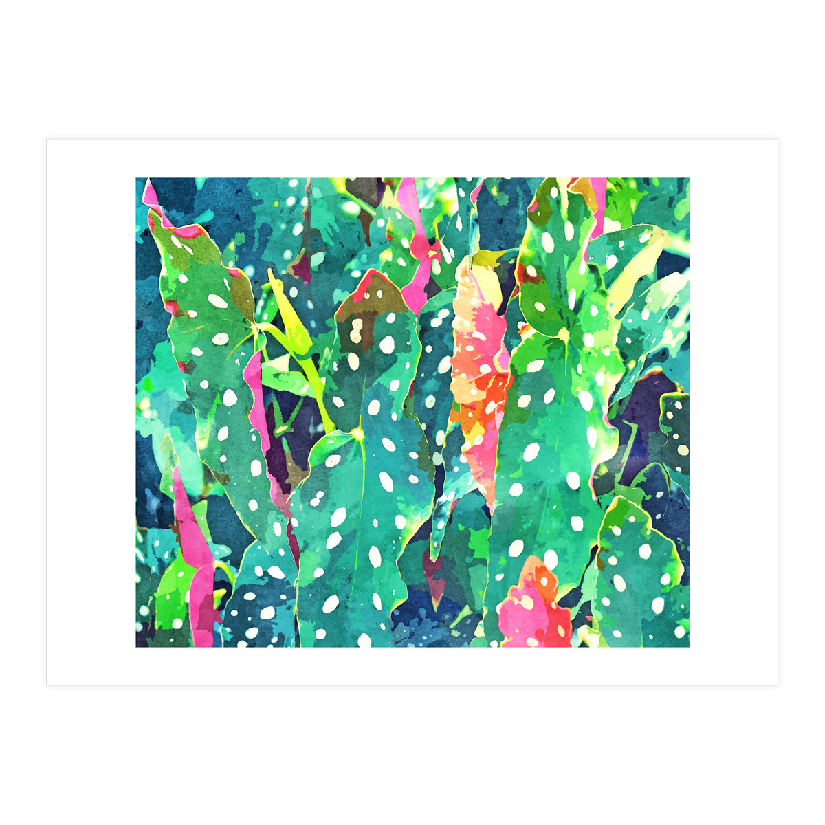 The Polka Dots Plant (Print Only)