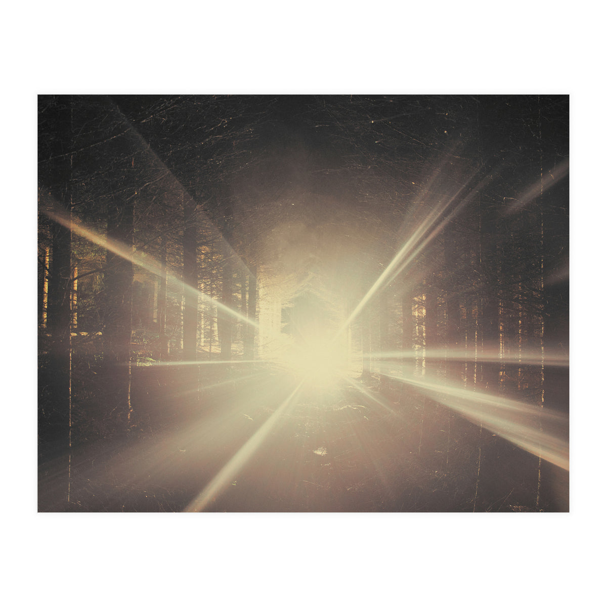 Why is Summer Mist Romantic and Autumn Mist just Sad? (Print Only)