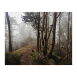 Mt. Davidson I (Print Only) thumbnail