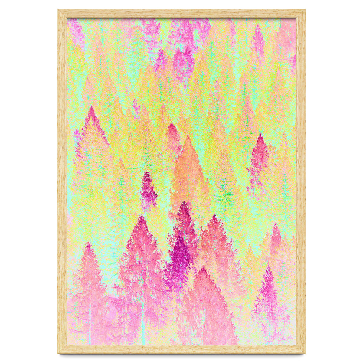 Painted Forest
