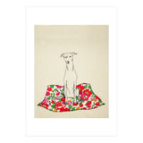 The Whippet (Print Only) thumbnail