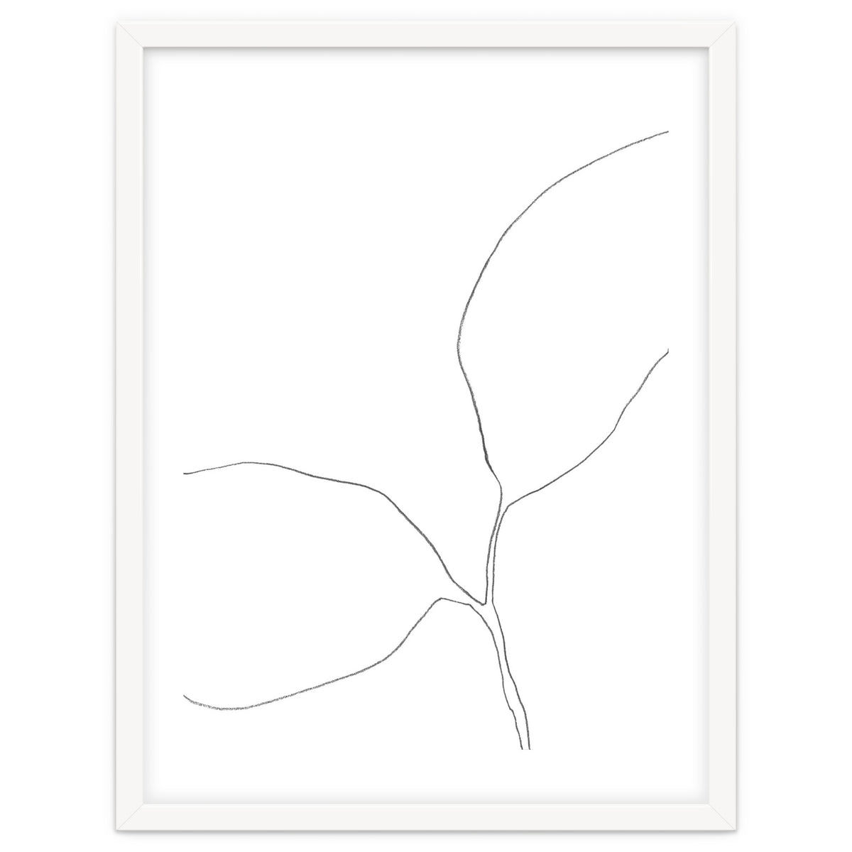 Seedling Leaning Left