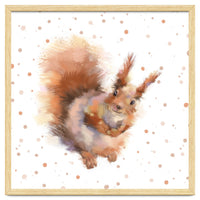 Squirrel - Wild Woods collection