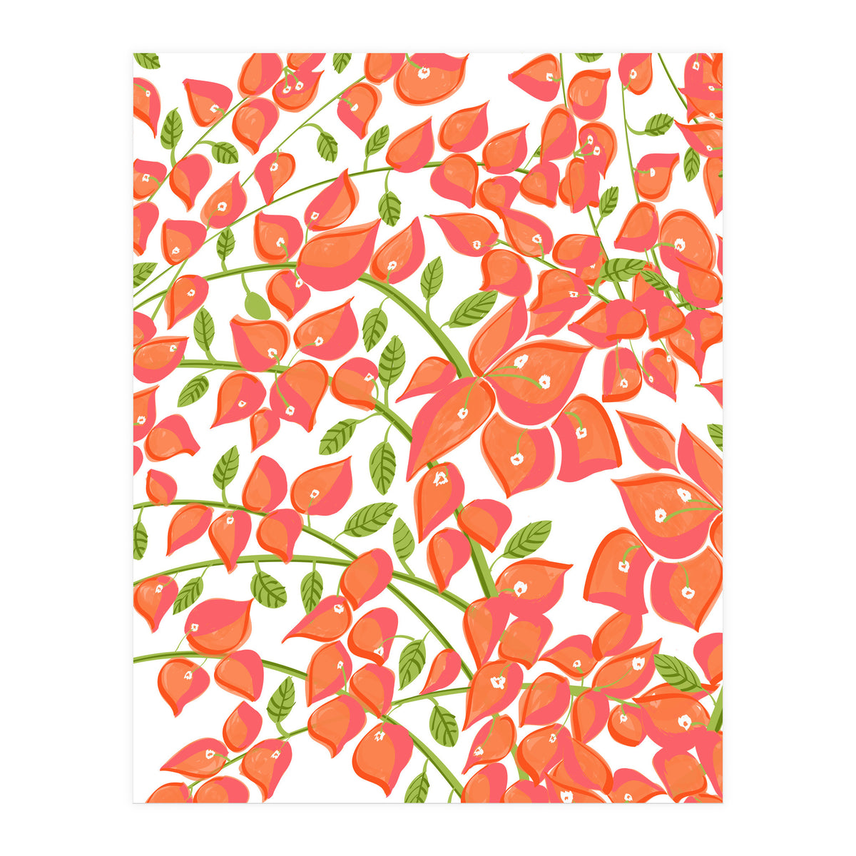 Bougainvillea Blush (Print Only)