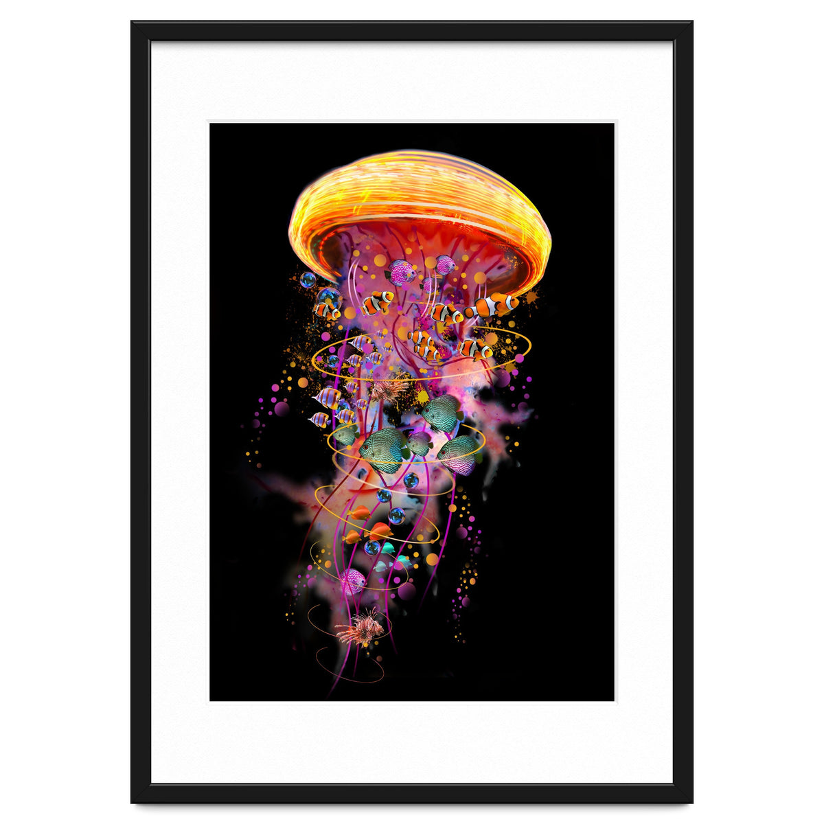 Jelly Fish Ride Summer2018 Dbh