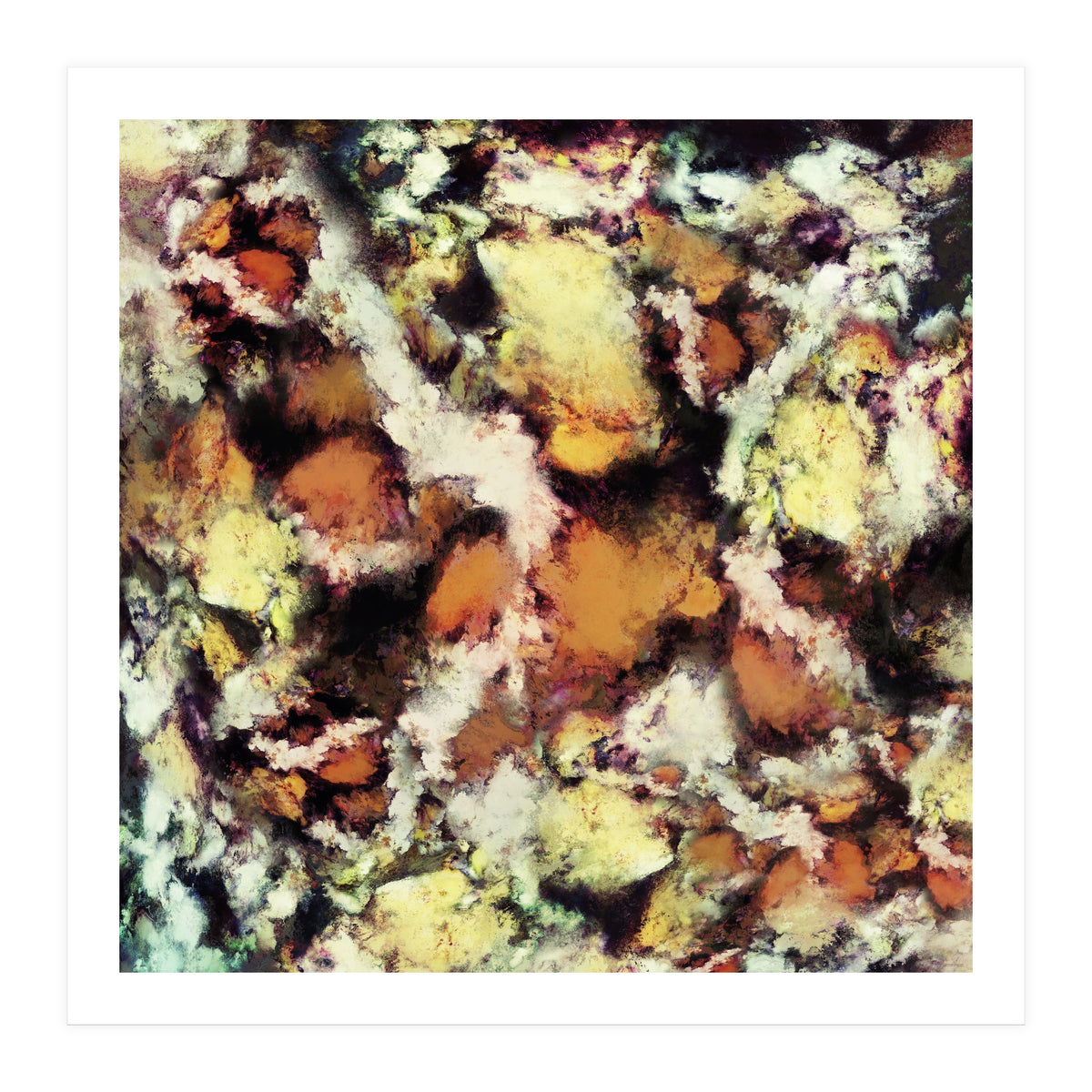 Fractured Viewpoint (Print Only)