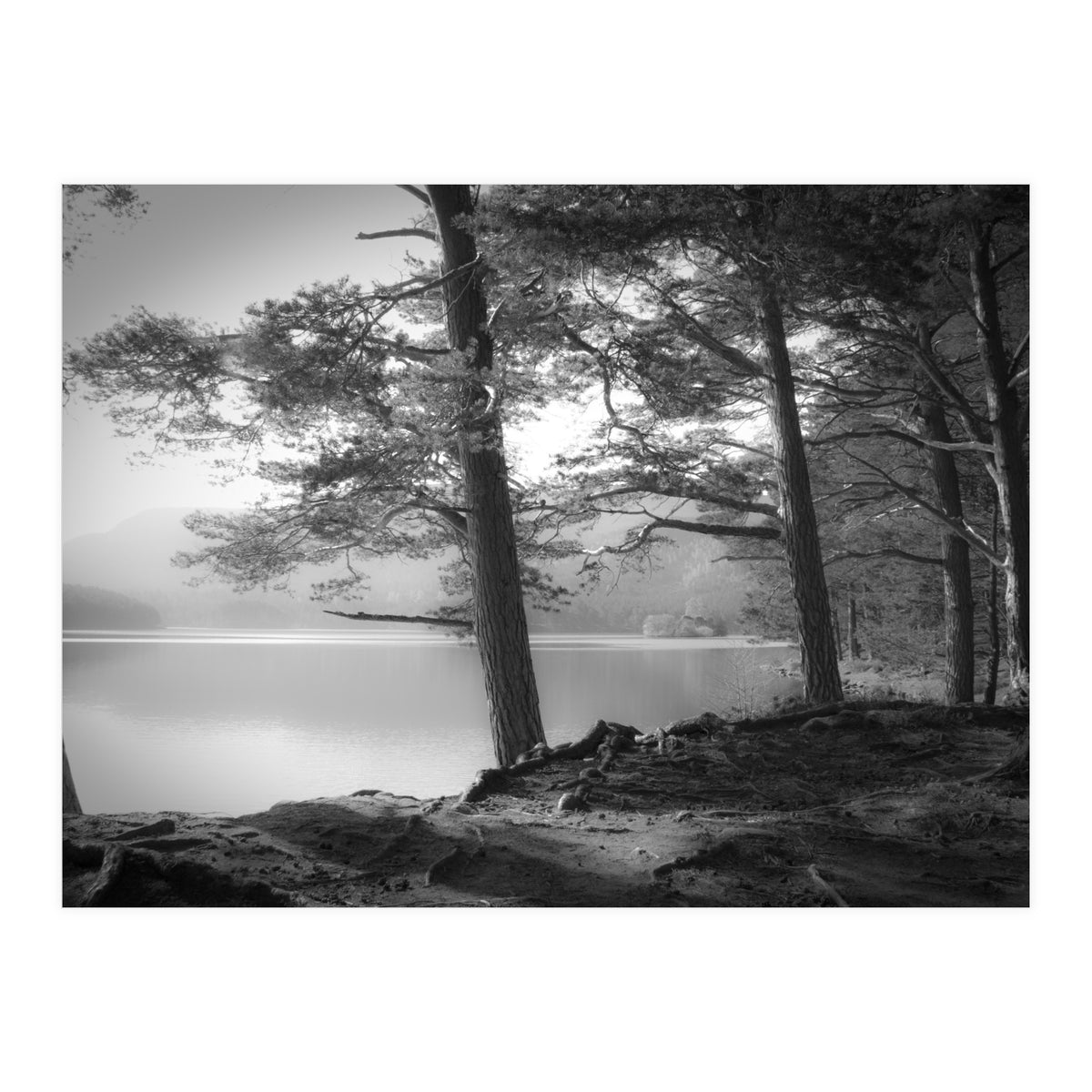 Loch an Eilein (Print Only)