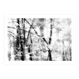 tree breeze (Print Only) thumbnail
