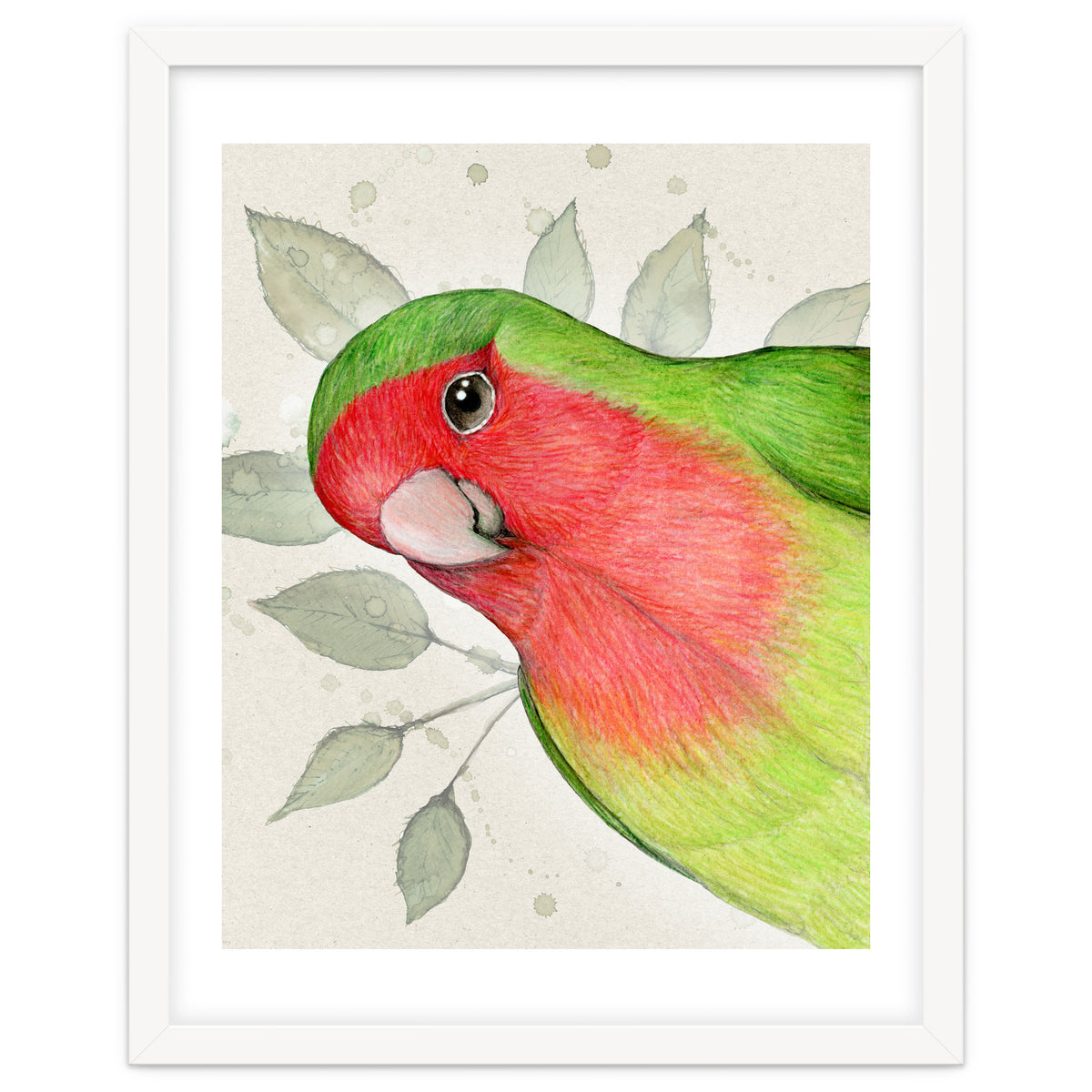 Curious lovebird
