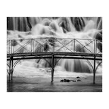 The falls (Print Only) thumbnail