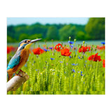 Bird and flower (Print Only) thumbnail