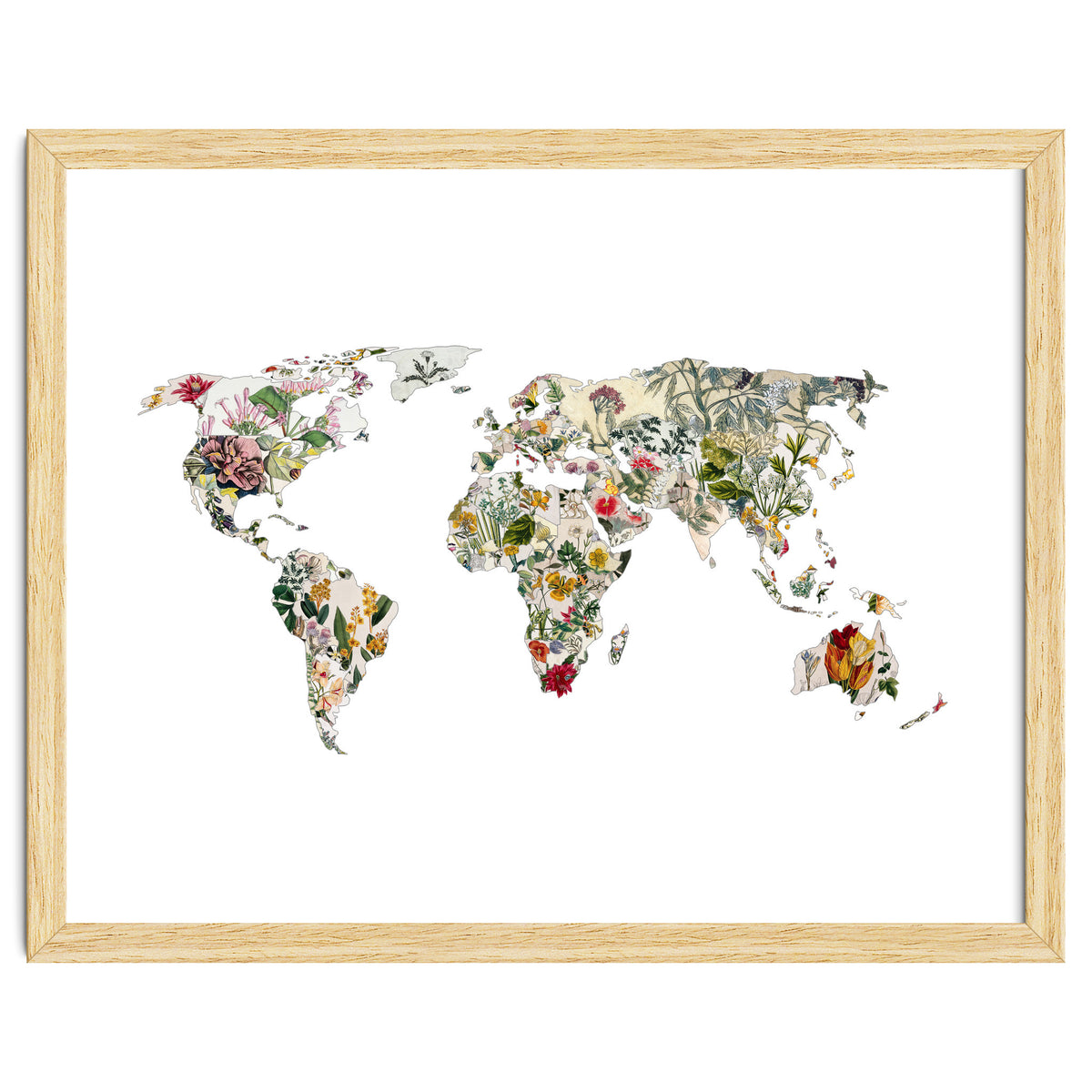 Vintage Botanical Map