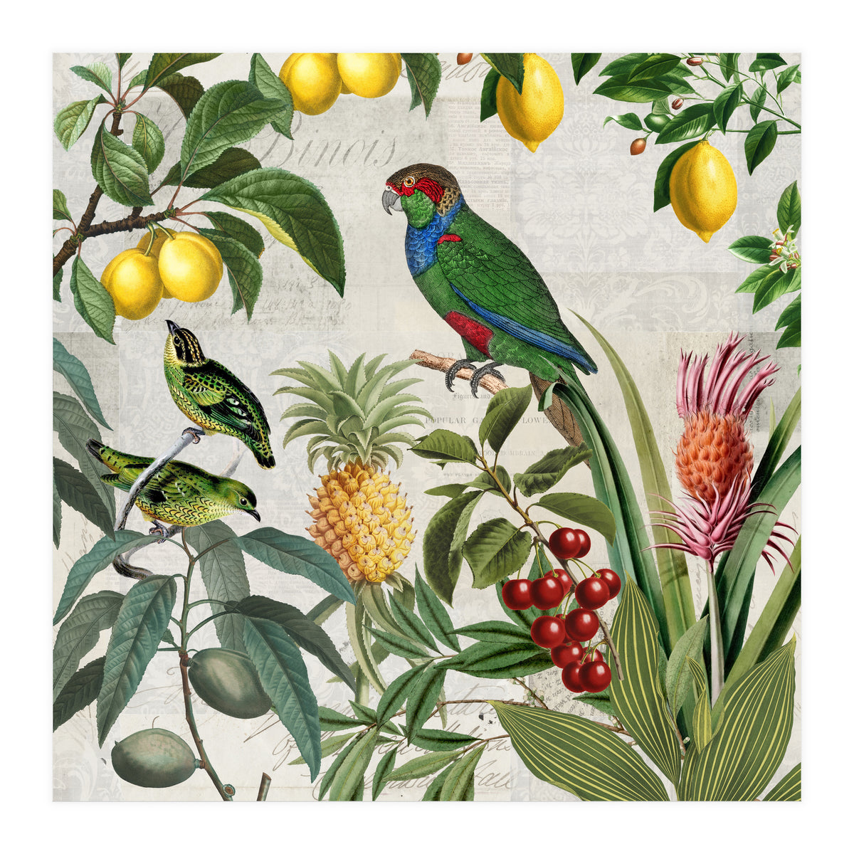 Fruit Paradise (Print Only)