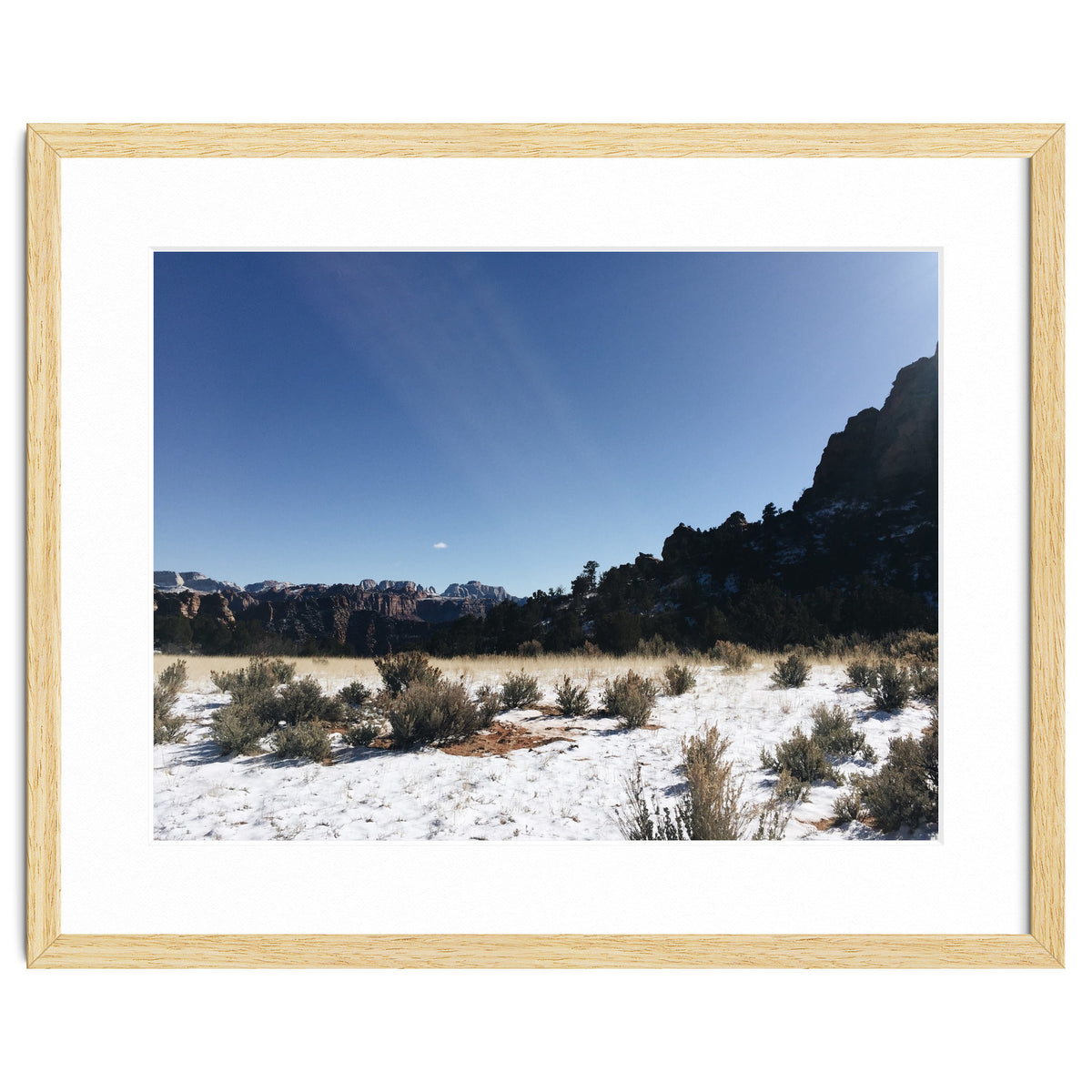 Zion National Park II