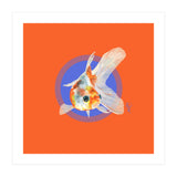Koi Carp (Print Only) thumbnail