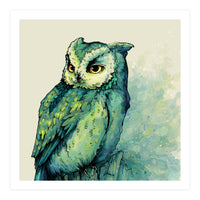 Green Owl (Print Only)