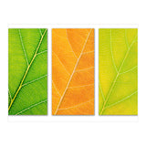 Autumn Leaves (Print Only) thumbnail