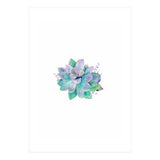 Aqua Succulent (Print Only) thumbnail