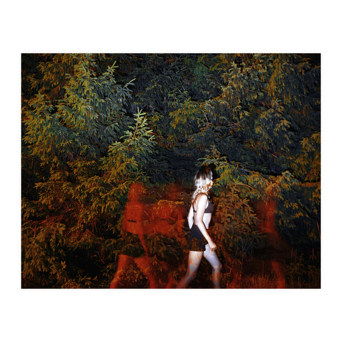 Red Shadows (Print Only)